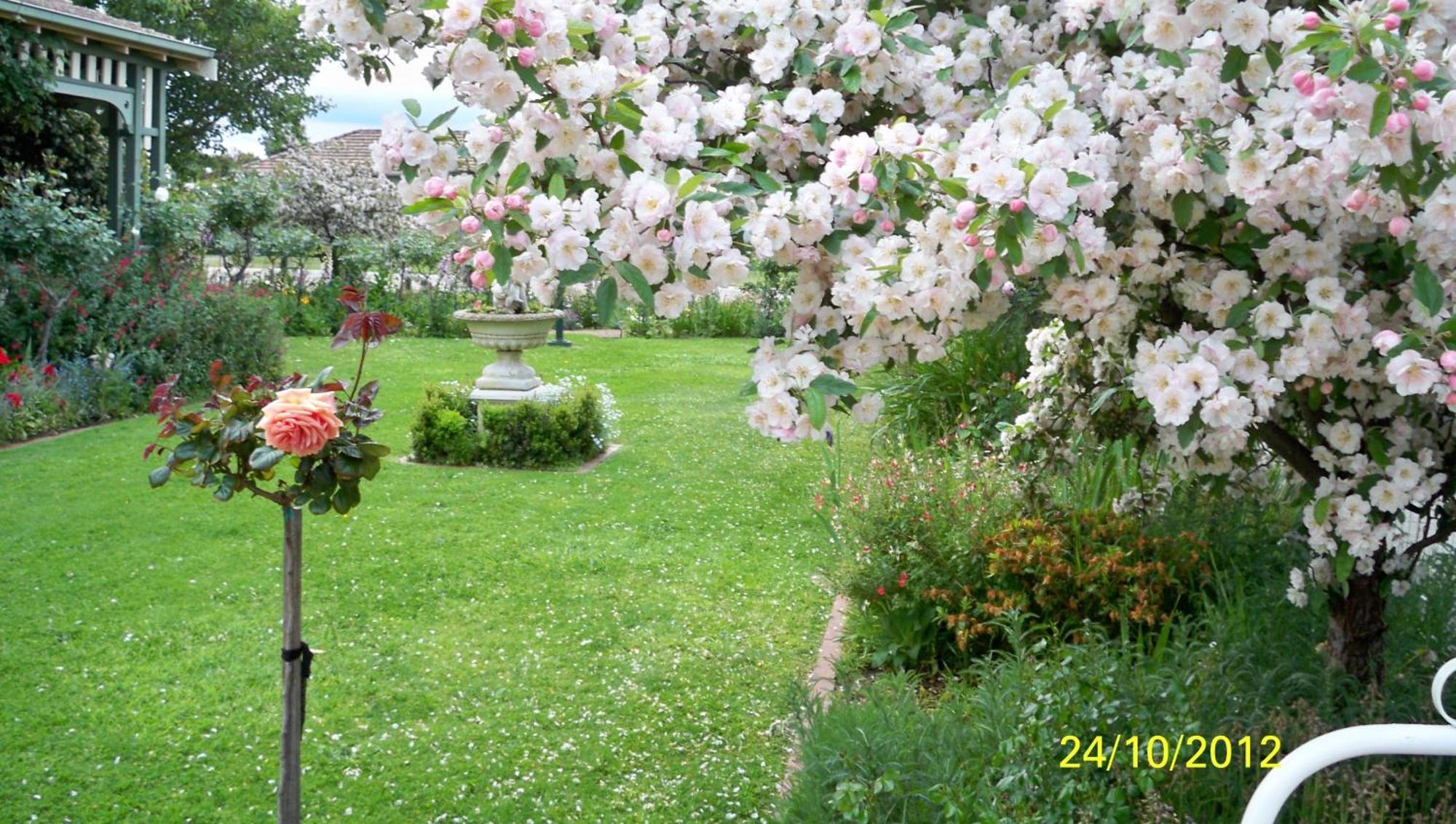 Dalfruin B&B Bairnsdale Exteriör bild